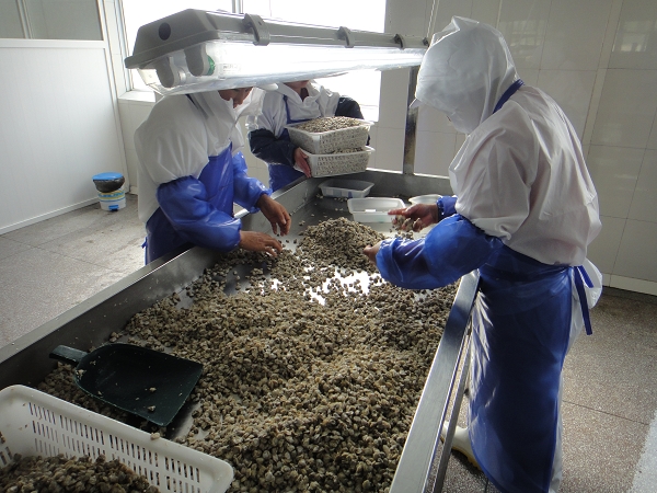 一次檢驗3.JPG